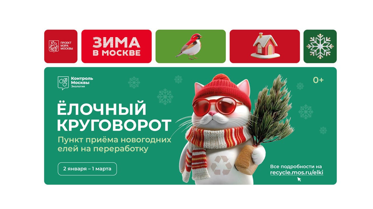Ёлочный круговорот